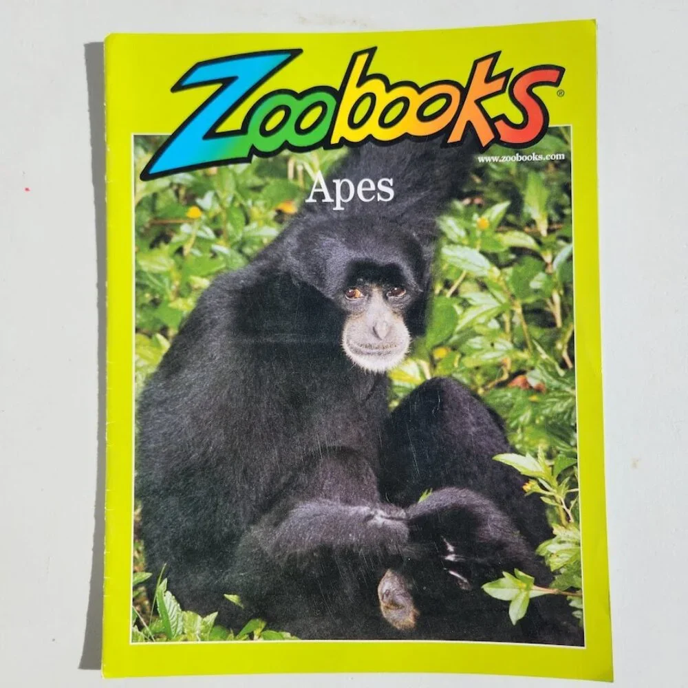Apes Zoobooks Kids Magazine Vintage Children's Ranger Rick John Bonnett Wexo